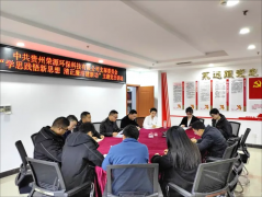荣源公司党支部开展红色新春主题党日
